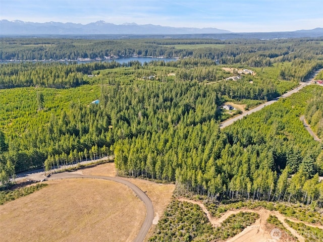 0TR3 E Mason Lake Rd, Grapeview, WA 98546