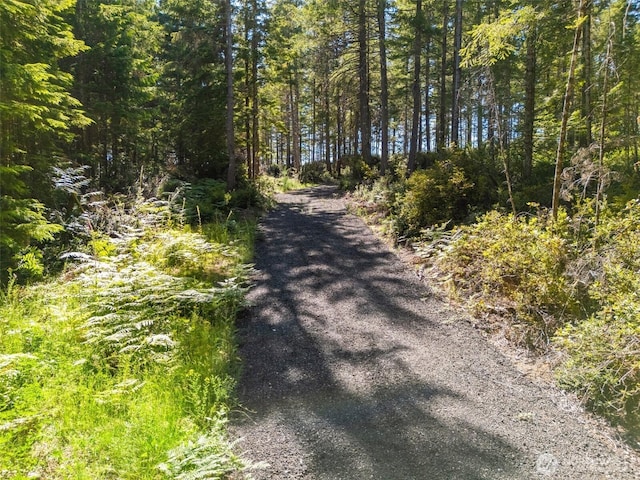 0TR3 E Mason Lake Rd, Grapeview, WA 98546