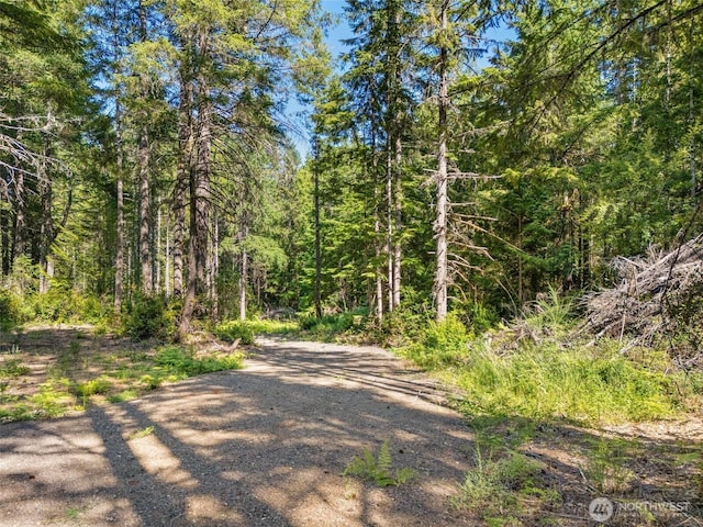 0TR3 E Mason Lake Rd, Grapeview, WA 98546