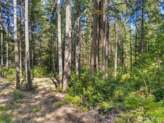 0TR3 E Mason Lake Rd, Grapeview, WA 98546