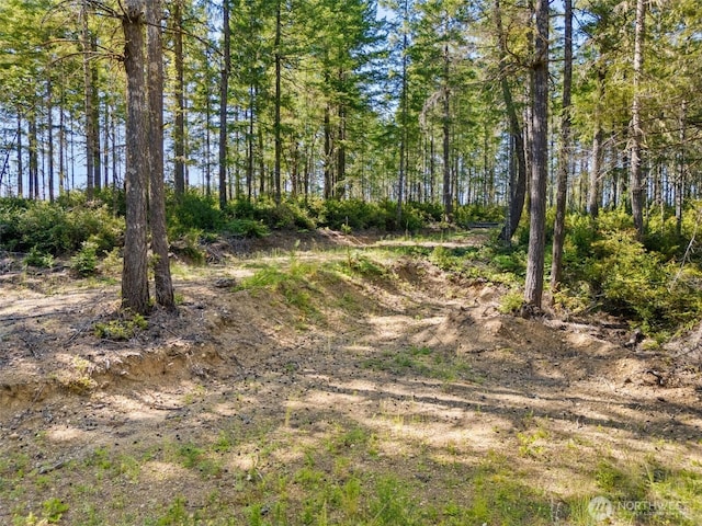 0TR3 E Mason Lake Rd, Grapeview, WA 98546
