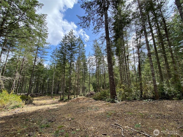0TR3 E Mason Lake Rd, Grapeview, WA 98546