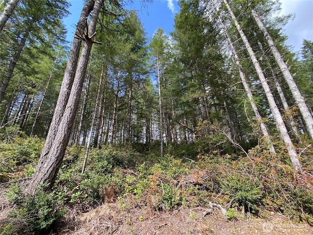0TR3 E Mason Lake Rd, Grapeview, WA 98546