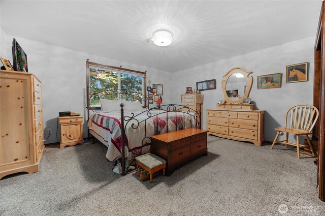 4128 177th Pl NE, Arlington, WA 98223 - photo 22