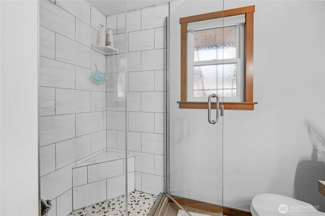 4128 177th Pl NE, Arlington, WA 98223 - photo 24