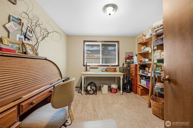 4128 177th Pl NE, Arlington, WA 98223 - photo 29
