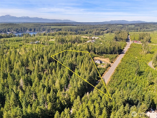 0TR2 E Mason Lake Rd, Grapeview, WA 98546