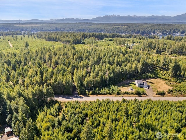 0TR2 E Mason Lake Rd, Grapeview, WA 98546