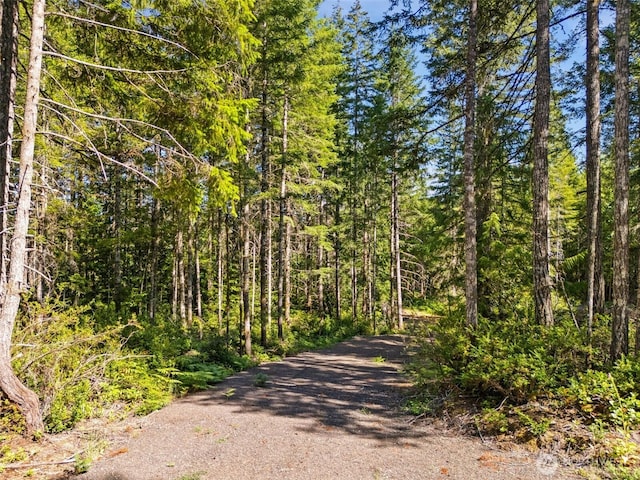 0TR2 E Mason Lake Rd, Grapeview, WA 98546