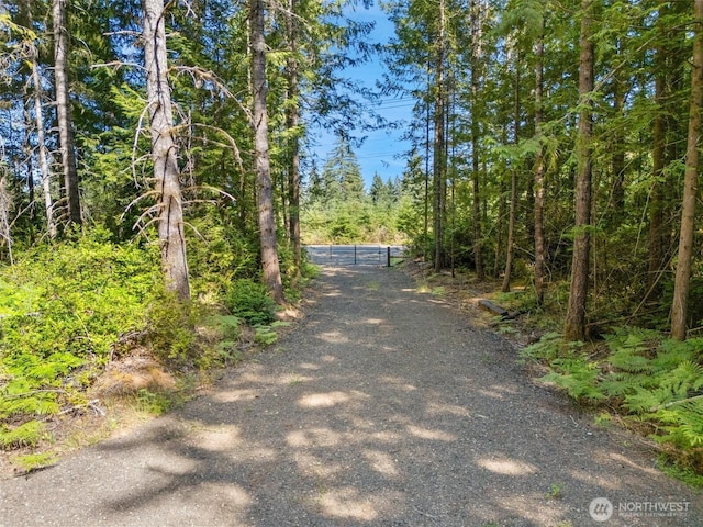 0TR2 E Mason Lake Rd, Grapeview, WA 98546