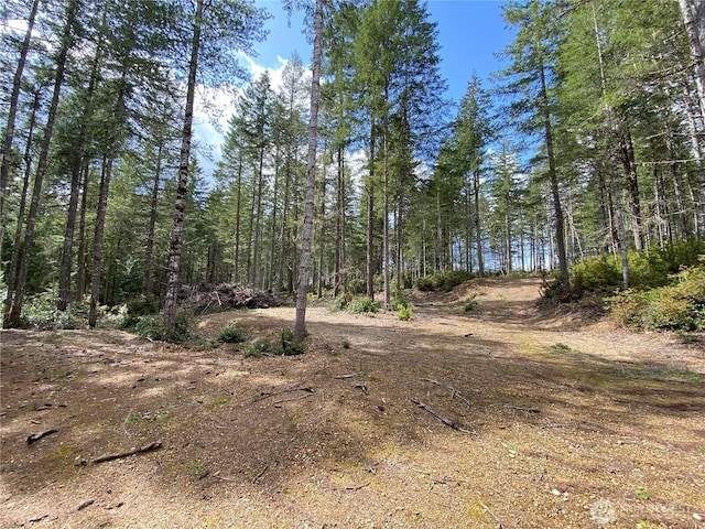 0TR2 E Mason Lake Rd, Grapeview, WA 98546