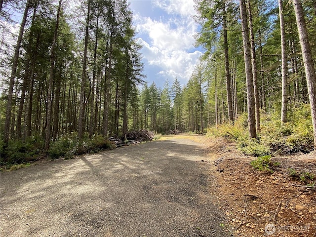0TR2 E Mason Lake Rd, Grapeview, WA 98546