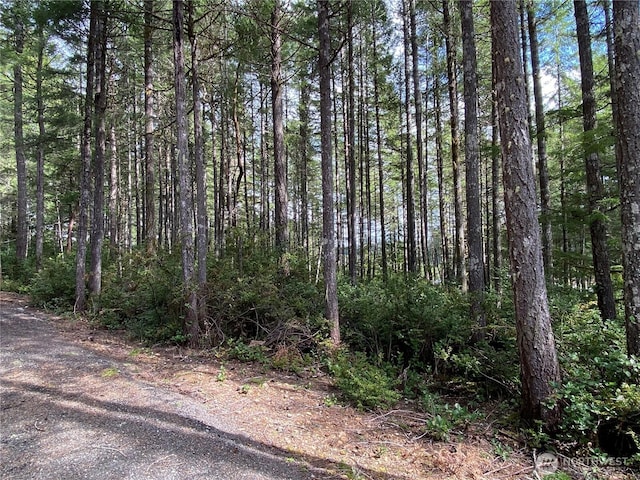 0TR2 E Mason Lake Rd, Grapeview, WA 98546