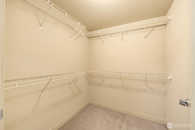 1420 E Pine St Unit E203, Seattle, WA 98122 - spacious closet featuring carpet floors