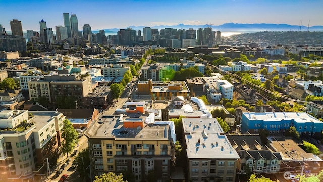 1420 E Pine St Unit E203, Seattle, WA 98122 - bird's eye view of city skyline