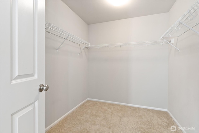 2849 Mahogany St NE, Lacey, WA 98516 - photo 15