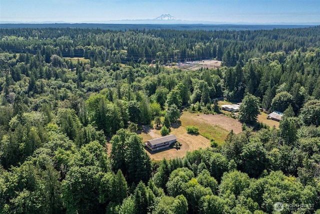 470 E Rasor Rd, Belfair, WA 98528 - photo 4