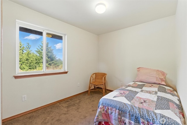 470 E Rasor Rd, Belfair, WA 98528 - photo 29
