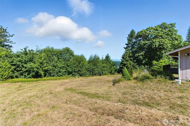 470 E Rasor Rd, Belfair, WA 98528 - photo 35