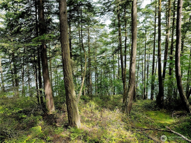 0LOT7 Pass View Rd, Decatur Island, WA 98221 - photo 4