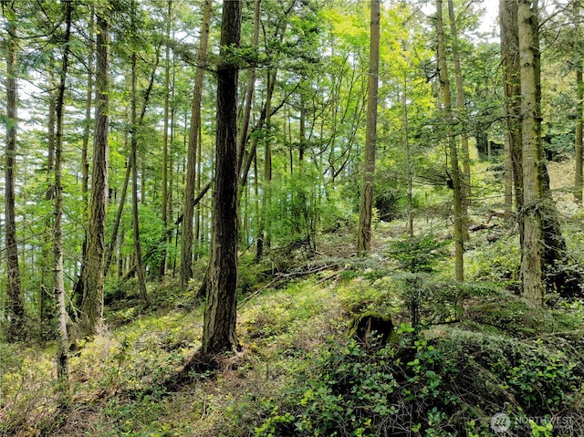 0LOT7 Pass View Rd, Decatur Island, WA 98221 - photo 3