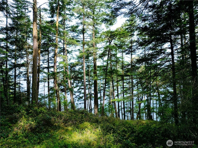 0LOT7 Pass View Rd, Decatur Island, WA 98221 - photo 2