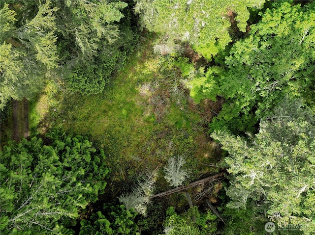 0LOT7 Pass View Rd, Decatur Island, WA 98221 - photo 5
