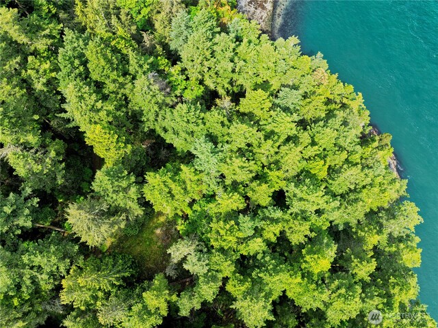 0LOT7 Pass View Rd, Decatur Island, WA 98221 - photo 6
