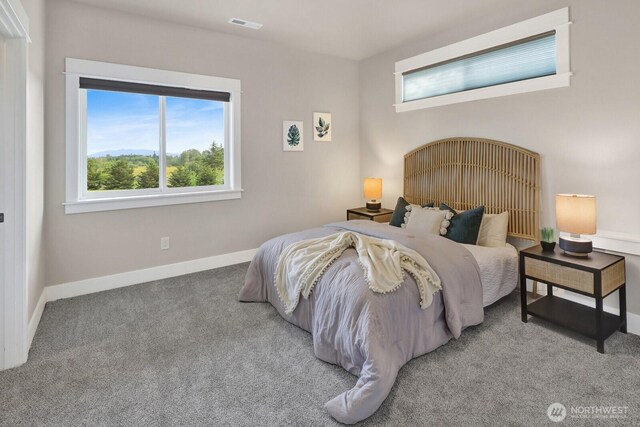 5754 W 26th Crst, Ferndale, WA 98248 - bedroom with carpet flooring