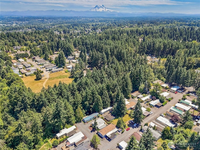 5808 78th Street Ct E Unit 89, Puyallup, WA 98371 - photo 33