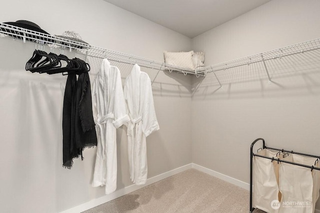 821 SE 12th Pl Unit 31, North Bend, WA 98045 - spacious closet with carpet flooring