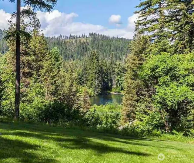 2620 Wenatchee Pnes, Leavenworth, WA 98826 - photo 12