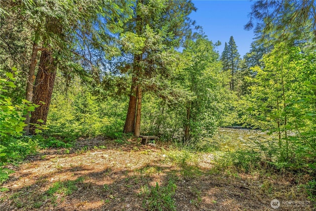 2620 Wenatchee Pnes, Leavenworth, WA 98826 - photo 35