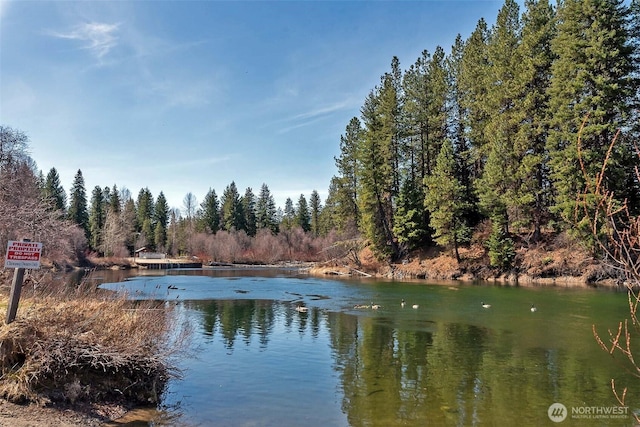2620 Wenatchee Pnes, Leavenworth, WA 98826 - photo 32