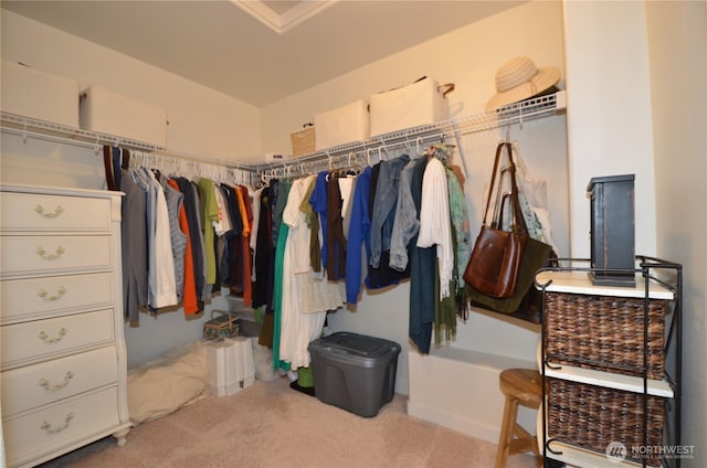 27719 NE 146th Way, Duvall, WA 98019 - walk in closet featuring carpet