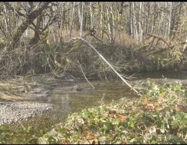 0 Sauk Rd, Rockport, WA 98237 - photo 1