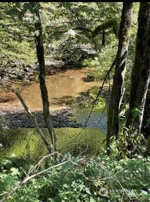 0 Sauk Rd, Rockport, WA 98237 - photo 5