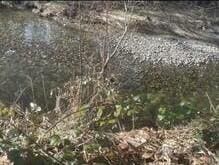0 Sauk Rd, Rockport, WA 98237 - photo 8