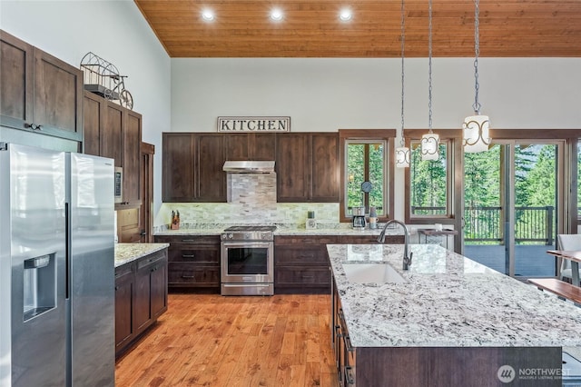 239 Foxridge Ln, Leavenworth, WA 98826 - kitchen with appliances with stainless steel finishes, under cabinet range hood, wood ceiling, light wood finished floors, and dark brown cabinets