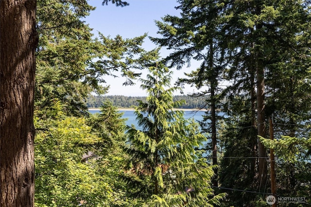 1237 Island Dr, Lummi Island, WA 98262 - photo 21