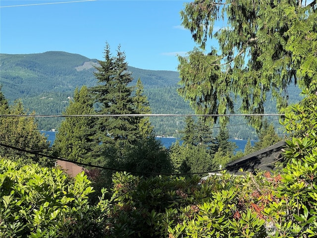 911 Coronado Ave, Bellingham, WA 98229 - photo 3
