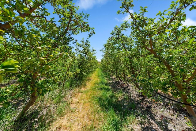 200 Lakayuse Rd, Manson, WA 98831