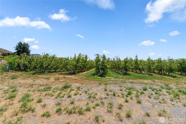 200 Lakayuse Rd, Manson, WA 98831