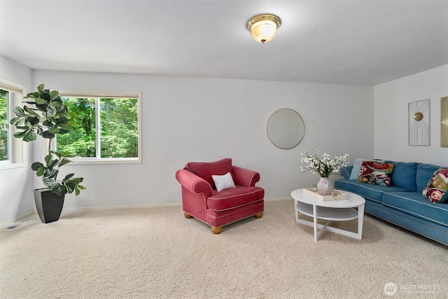 4535 251st Way NE, Redmond, WA 98053 - photo 24