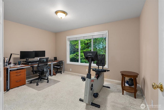 4535 251st Way NE, Redmond, WA 98053 - photo 30