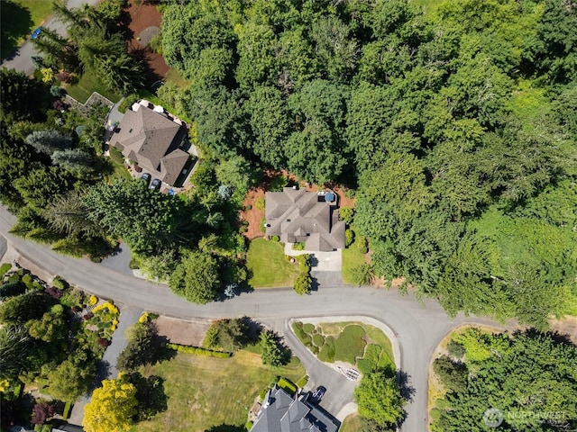 4535 251st Way NE, Redmond, WA 98053 - photo 34