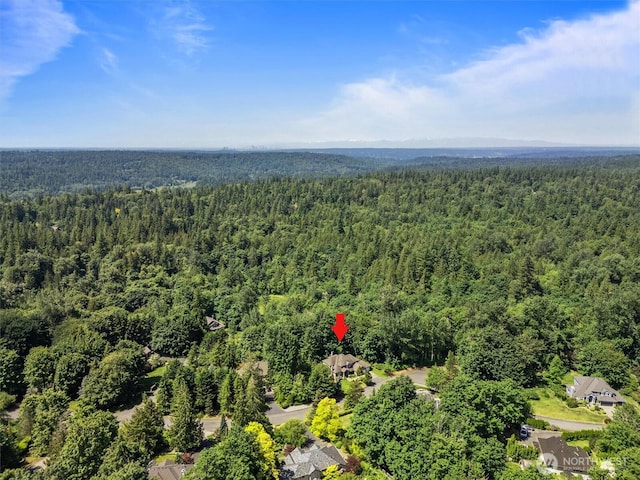 4535 251st Way NE, Redmond, WA 98053 - photo 36