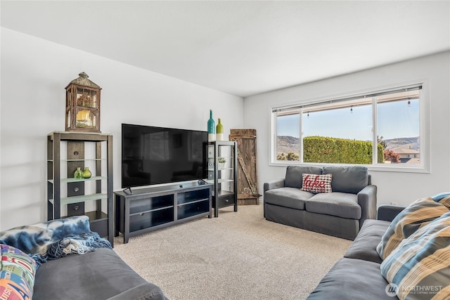 115 Pyramid Pl, Chelan, WA 98816 - photo 12