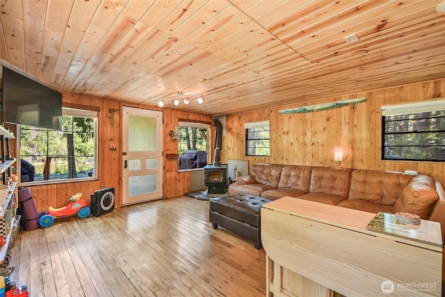 13990 Brae Burn Rd, Leavenworth, WA 98826 - living room with a wood stove, wood ceiling, wood walls, hardwood / wood-style flooring, and track lighting