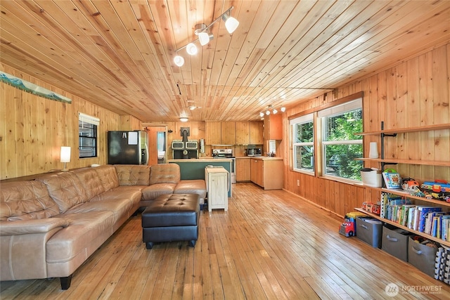 13990 Brae Burn Rd, Leavenworth, WA 98826 - living area with wooden ceiling, wooden walls, and light wood-style floors